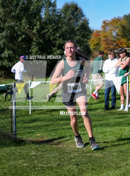 Thumbnail 3 in PIAA District IV Class AA Championship photogallery.