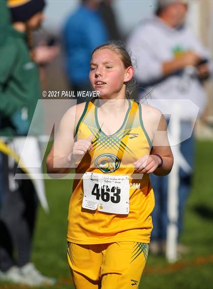 Thumbnail 3 in PIAA District IV Class AA Championship photogallery.