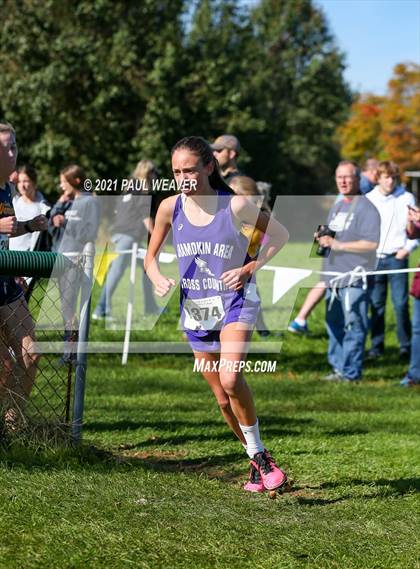 Thumbnail 2 in PIAA District IV Class AA Championship photogallery.