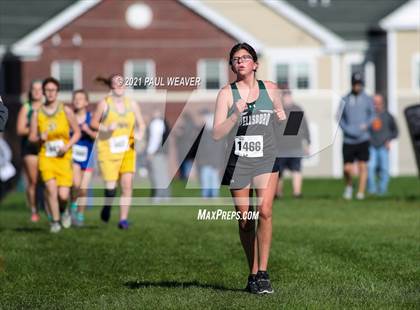 Thumbnail 2 in PIAA District IV Class AA Championship photogallery.
