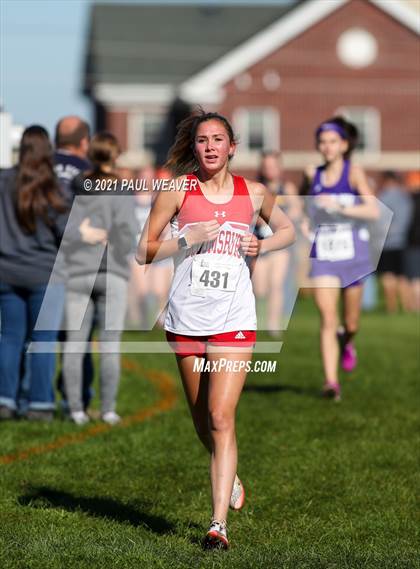 Thumbnail 3 in PIAA District IV Class AA Championship photogallery.