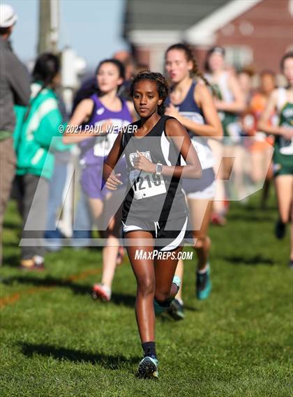 Thumbnail 3 in PIAA District IV Class AA Championship photogallery.