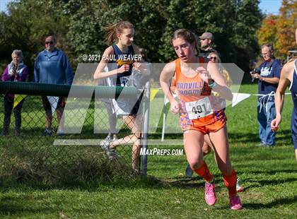 Thumbnail 1 in PIAA District IV Class AA Championship photogallery.