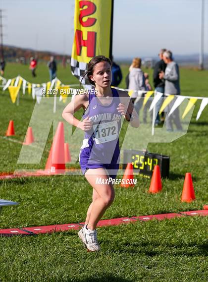 Thumbnail 3 in PIAA District IV Class AA Championship photogallery.