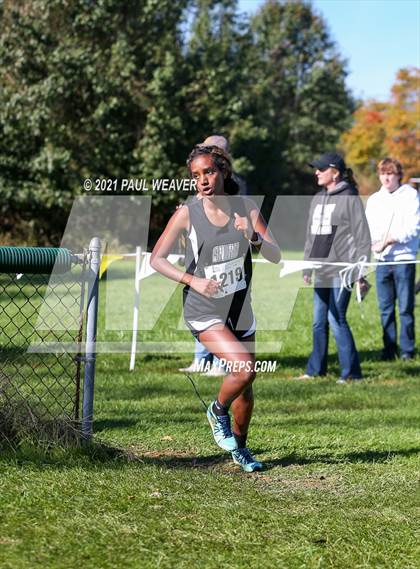 Thumbnail 2 in PIAA District IV Class AA Championship photogallery.