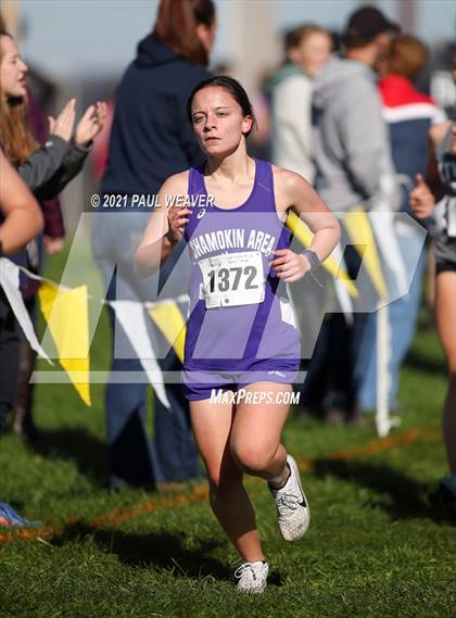 Thumbnail 1 in PIAA District IV Class AA Championship photogallery.