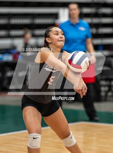 null - Photo 01