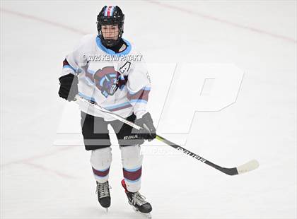 Thumbnail 1 in Portsmouth vs. East Greenwich (RIIL D2 Final) photogallery.