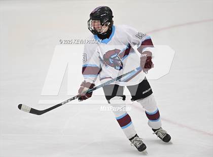 Thumbnail 1 in Portsmouth vs. East Greenwich (RIIL D2 Final) photogallery.