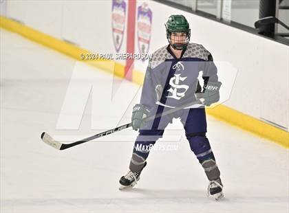 Thumbnail 2 in Regis Jesuit vs. Standley Lake - CHSAA 5A Quarterfinals photogallery.