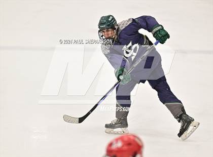 Thumbnail 2 in Regis Jesuit vs. Standley Lake - CHSAA 5A Quarterfinals photogallery.