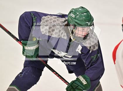 Thumbnail 3 in Regis Jesuit vs. Standley Lake - CHSAA 5A Quarterfinals photogallery.