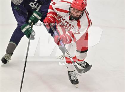 Thumbnail 1 in Regis Jesuit vs. Standley Lake - CHSAA 5A Quarterfinals photogallery.