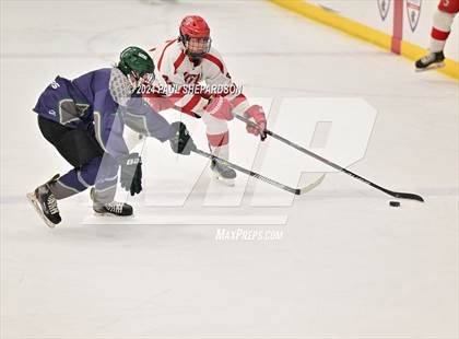 Thumbnail 3 in Regis Jesuit vs. Standley Lake - CHSAA 5A Quarterfinals photogallery.