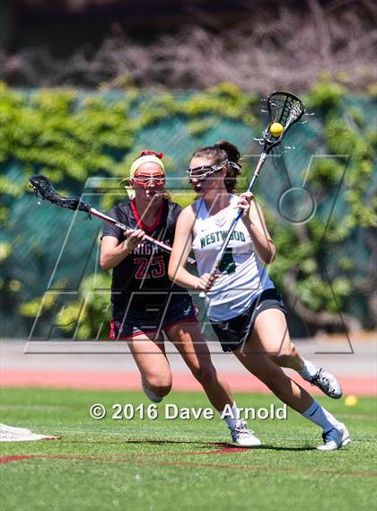 Thumbnail 1 in North Andover @ Westwood (MIAA Division 1 Final) photogallery.