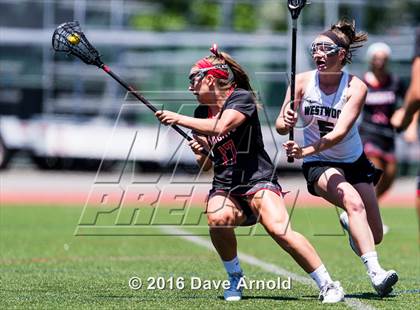 Thumbnail 1 in North Andover @ Westwood (MIAA Division 1 Final) photogallery.
