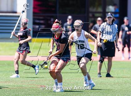 Thumbnail 1 in North Andover @ Westwood (MIAA Division 1 Final) photogallery.