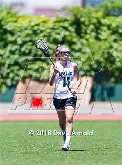 Thumbnail 1 in North Andover @ Westwood (MIAA Division 1 Final) photogallery.