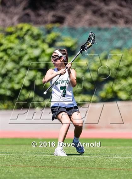 Thumbnail 3 in North Andover @ Westwood (MIAA Division 1 Final) photogallery.