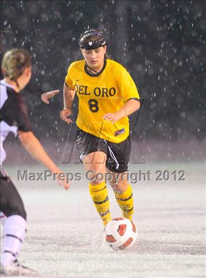 Thumbnail 3 in Del Oro @ Woodcreek photogallery.