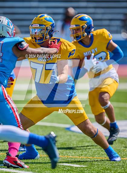 Thumbnail 2 in Madison @ Milby photogallery.