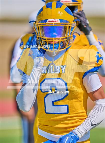 Thumbnail 3 in Madison @ Milby photogallery.