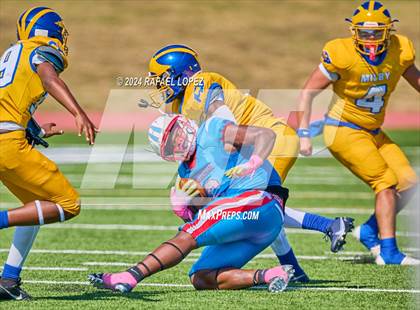 Thumbnail 3 in Madison @ Milby photogallery.