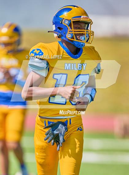 Thumbnail 3 in Madison @ Milby photogallery.