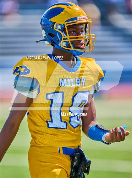 Thumbnail 3 in Madison @ Milby photogallery.