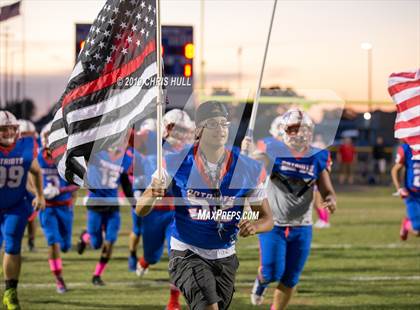 Thumbnail 1 in Clearwater @ Pinellas Park photogallery.