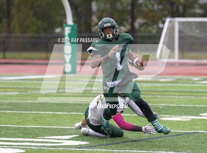 Thumbnail 3 in Ward Melville @ William Floyd photogallery.