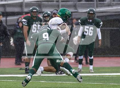 Thumbnail 1 in Ward Melville @ William Floyd photogallery.