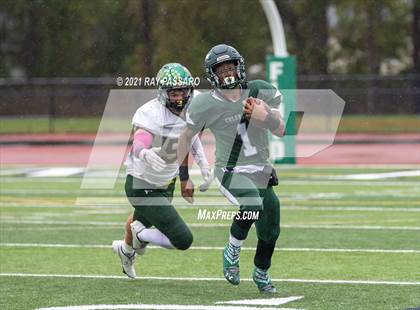 Thumbnail 3 in Ward Melville @ William Floyd photogallery.