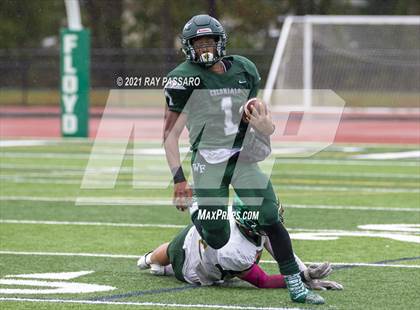 Thumbnail 1 in Ward Melville @ William Floyd photogallery.