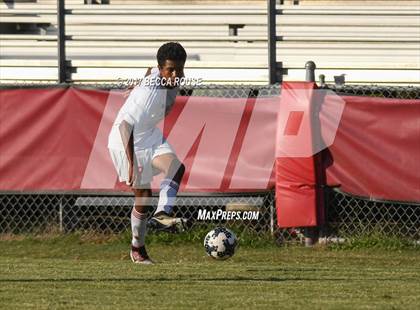 Thumbnail 1 in Sun Valley @ Charlotte Catholic photogallery.
