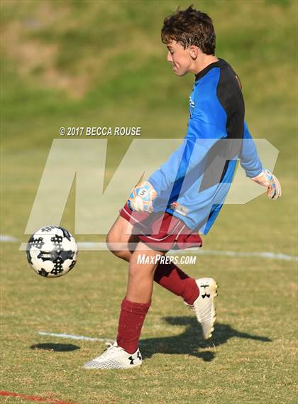 Thumbnail 1 in Sun Valley @ Charlotte Catholic photogallery.