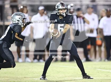 Thumbnail 2 in Basha @ Hamilton photogallery.