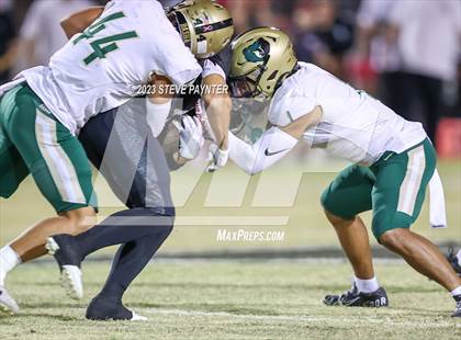 Thumbnail 3 in Basha @ Hamilton photogallery.