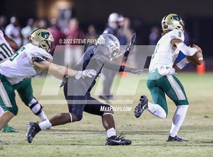 Thumbnail 2 in Basha @ Hamilton photogallery.