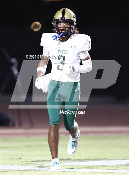 Thumbnail 2 in Basha @ Hamilton photogallery.