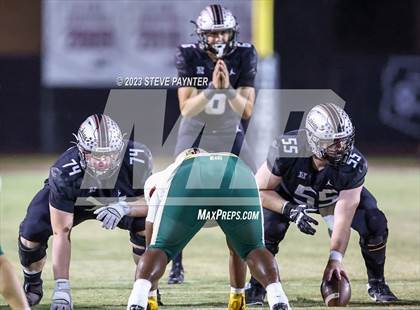 Thumbnail 3 in Basha @ Hamilton photogallery.