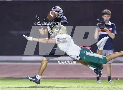 Thumbnail 1 in Basha @ Hamilton photogallery.