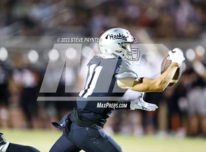 Thumbnail 2 in Basha @ Hamilton photogallery.