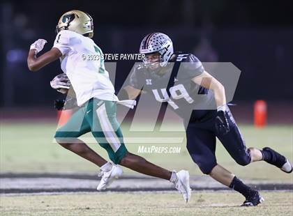 Thumbnail 2 in Basha @ Hamilton photogallery.