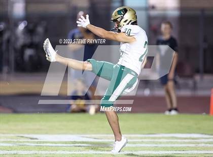 Thumbnail 2 in Basha @ Hamilton photogallery.
