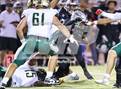 Photo from the gallery "Basha @ Hamilton"