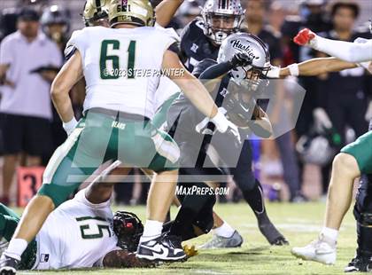 Thumbnail 3 in Basha @ Hamilton photogallery.