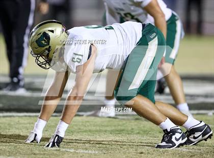 Thumbnail 2 in Basha @ Hamilton photogallery.