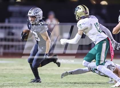 Thumbnail 1 in Basha @ Hamilton photogallery.