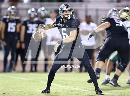 Thumbnail 2 in Basha @ Hamilton photogallery.